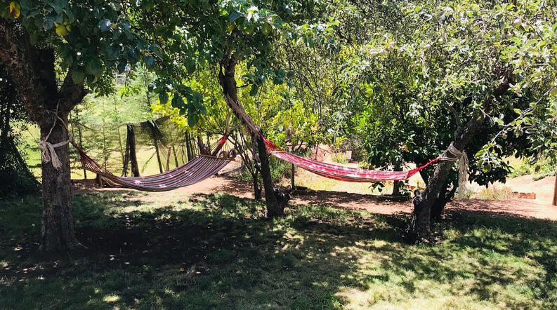 Hamacas